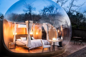 Horizonte Bubble rooms